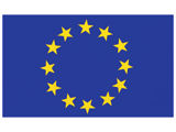 Flag Decal Europe