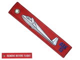 Remove before flight - ASK13