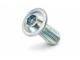 Pan-head screw silver Pan-head screw silver